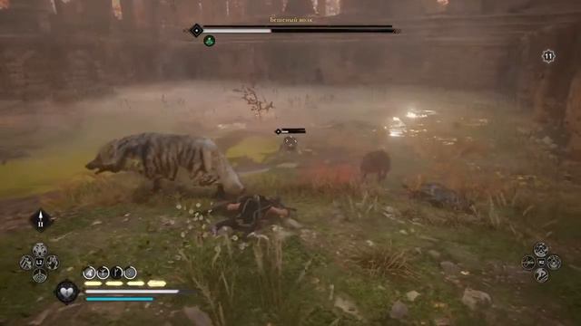 Прохождение Assassin‘s Creed:Вальгалла:Бешенный волк.(без комментариев). смотреть онлайн