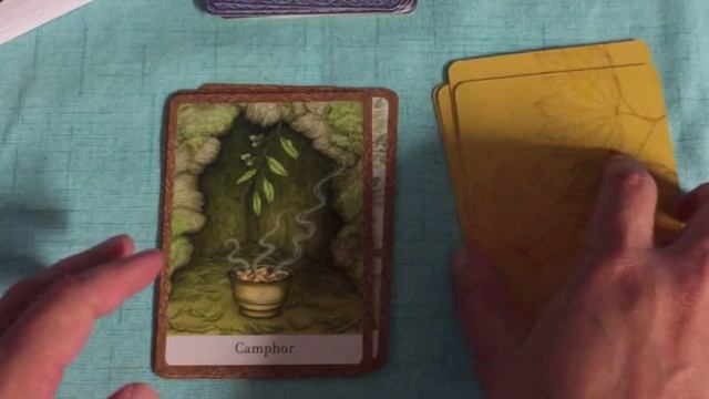 Wisdom of the Trees Oracle Deck Review смотреть онлайн