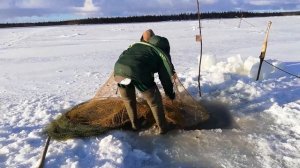 Ловля рыбы на мережу, Беломорск.