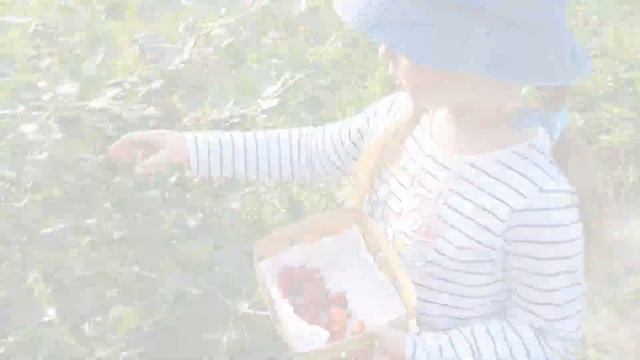 VLOG | RECIPE | Собираем ягодки и готовим салат little girl picking berries смотреть онлайн