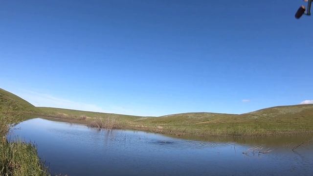Злая щука в пруду,хороший клев! смотреть онлайн