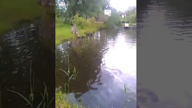 чистка озера мини земснарядом смотреть онлайн