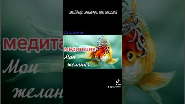 ежедневная медитация мои желания смотреть онлайн