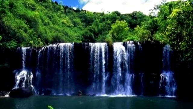 ДИДЮЛЯ - ЦВЕТНЫЕ СНЫ