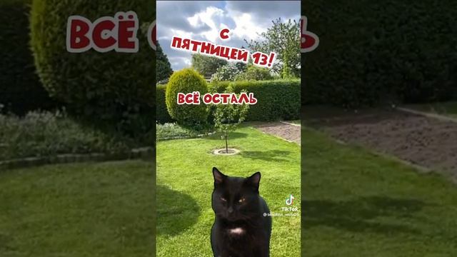 С пятницей 13е.mp4 смотреть онлайн