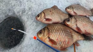 ПЕРВЫЙ ВЕСЕННИЙ КАРАСЬ!!! Рыбалка на карася в марте 2024