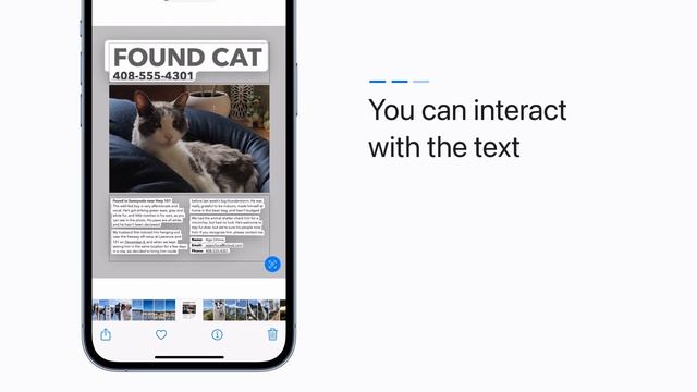 How to use Live Text in a photo on iPhone and iPad | Apple Support смотреть онлайн