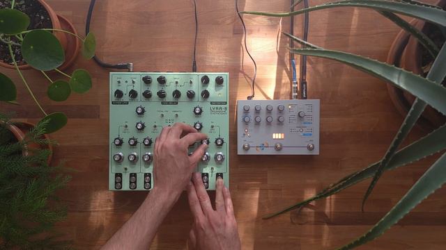 Soma Labs Lyra 8 + Hologram Microcosm Tuning & Ambient Jam [No Talking] - Day 3 out of 30 смотреть онлайн