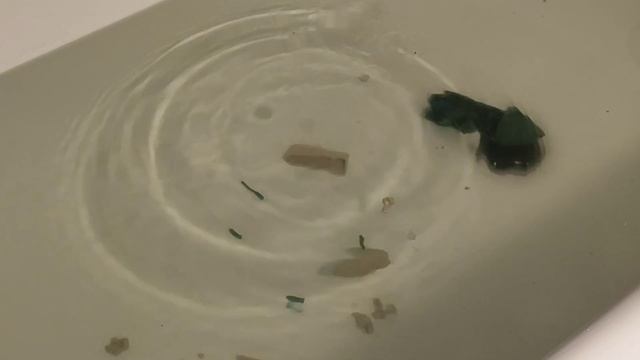 Битва кораблей из пластилина 3.