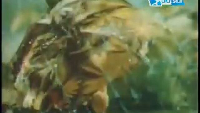 1 ноября 2023 г. смотреть онлайн