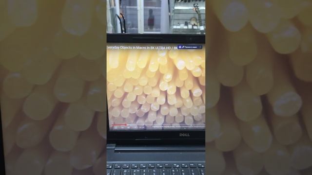 25 ноября 2022 г. смотреть онлайн