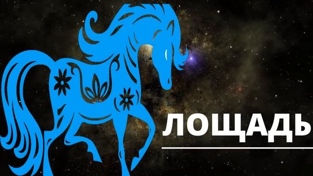 НЕ ПРОПУСТИТЕ! ВОСТОЧНЫЙ ГОРОСКОП НА 2023 ГОД! ДЛЯ ВСЕХ ЗНАКОВ ЗОДИАКА! смотреть онлайн