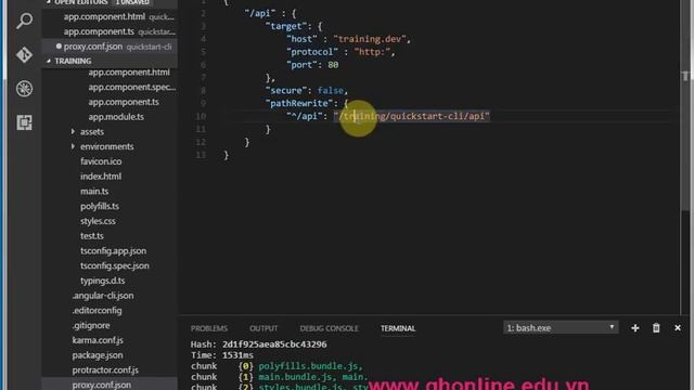 Hướng dẫn sử dụng API với Angular CLI + Virtual Host смотреть онлайн