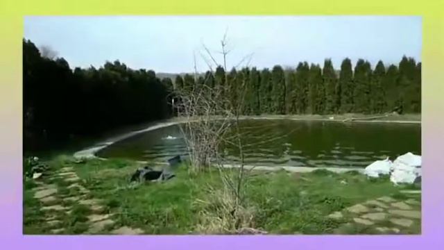 В объективе телескопа. смотреть онлайн