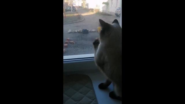 Туда хочу! смотреть онлайн