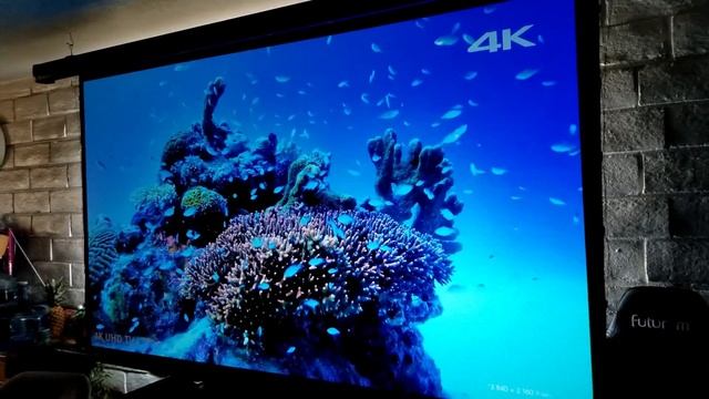 Elite Screens CineGrey 5D ALR Screen Review