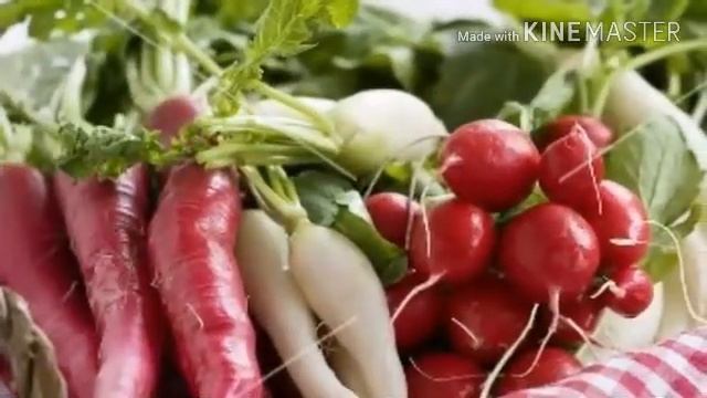 ?Какие ОВОЩИ можно и НЕЛЬЗЯ давать попугаям??|Гоша Гороша смотреть онлайн