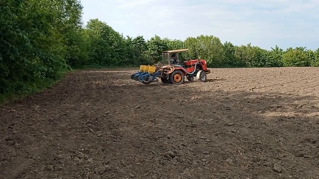 Закінчились гарбузи, значить сієм соняшник// Міні сівалка супн-3 смотреть онлайн