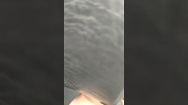 Как снять (открыть) руль на Toyota Corolla AE100 смотреть онлайн