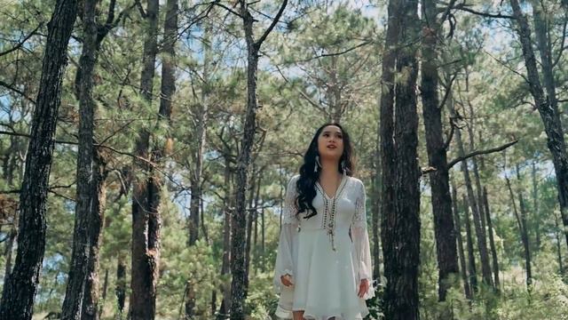 Speechless - Naomi Scott (Cover) смотреть онлайн