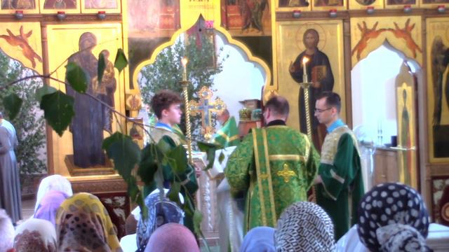 16 июня 2019 года "Дух дышит где хочет" - проповедь на Литургии смотреть онлайн