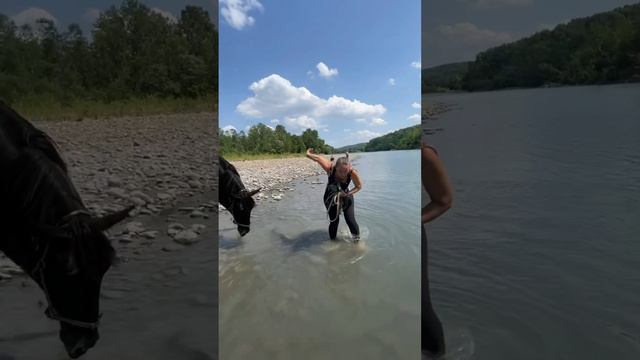 Лошади смотреть онлайн