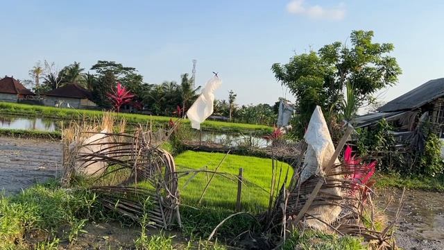 «Дышу легко» Супер мощная Матрица П. Гаряева «Легкие, нос, горло»