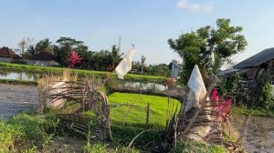 «Дышу легко» Супер мощная Матрица П. Гаряева «Легкие, нос, горло»