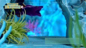 Игрушки "Повелители Средиземноморья" от СБАБАМ