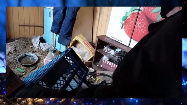 ТУШЁНКА ОТ ДЕДА МАТВЕЯ ? ? ? ? ? ? ? ? ? ?