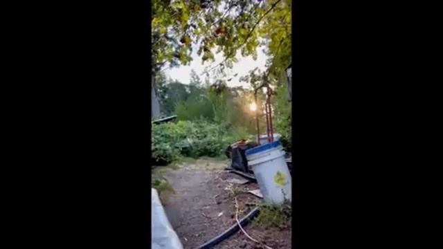 Ultrakill Memes Part 2