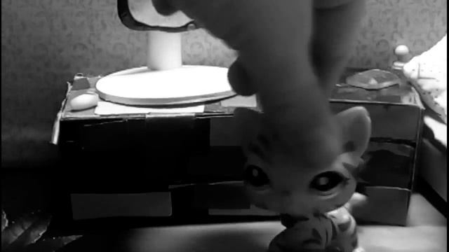 Заставка на серик"Когда молоды мы были" смотреть онлайн