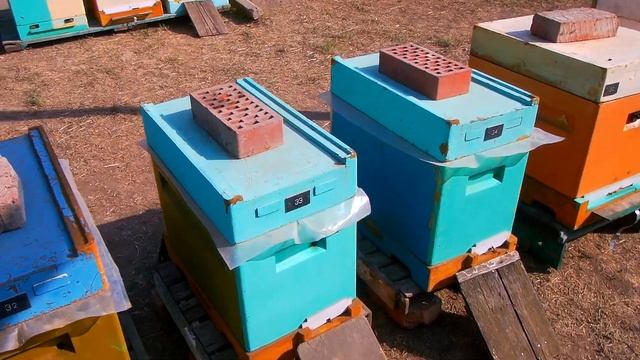 Приехали домой( на зимние квартиры)....2022г.....))) любительское пчеловодство смотреть онлайн