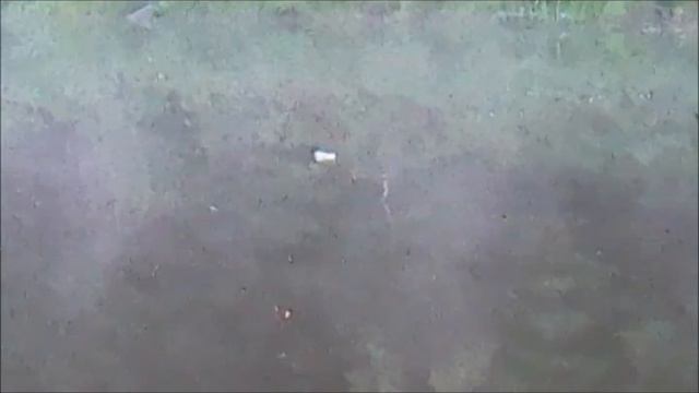 Рыбалка на Бобровом озере 18 августа 2021 г. Пытаюсь словить щуку на живца. смотреть онлайн