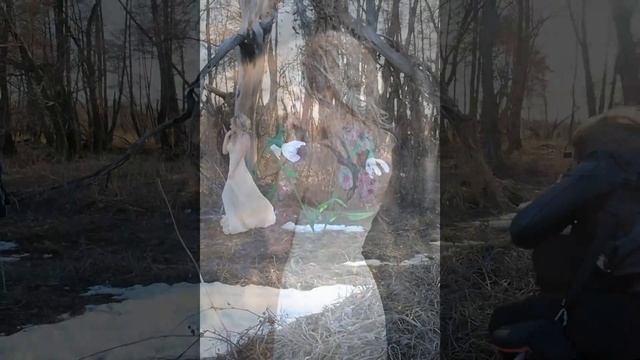 Бекстейдж Фотосессия в лесу смотреть онлайн