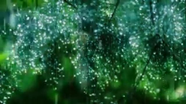Расслабляющая музыка и нежные звуки дождя ─ красивой фортепианной музыки для релаксации и сна, Slee смотреть онлайн