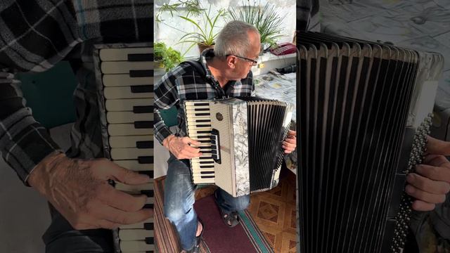 Monika Accordion, 96 Bass, 3 voice, 5+3 register, Germany Accordion, Analog Weltmeister, Great soun смотреть онлайн