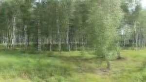 Участок № 58. Дачный поселок «Феникс».