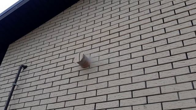 Алмазное бурение для установки коаксиального дымохода через клинкерный кирпич смотреть онлайн