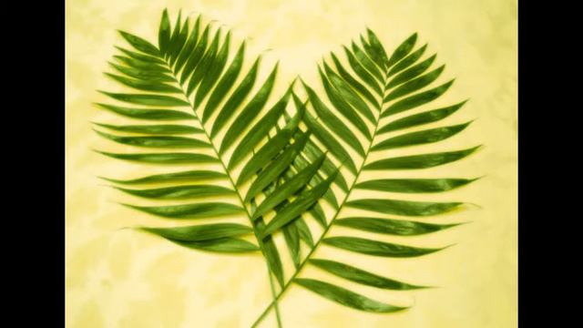 Sunday Message - Matthew 21:9-11 - Palm Sunday смотреть онлайн
