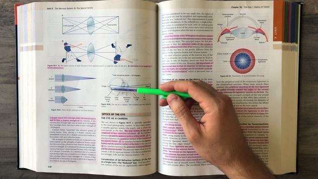 Guyton and Hall Medical Physiology (Chapter 50)REVIEW The Eye || Study This! смотреть онлайн