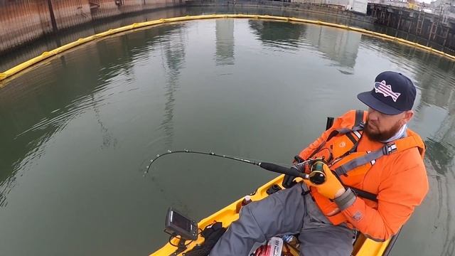 Fishing kayak sturgeon monster in "Oregon " смотреть онлайн