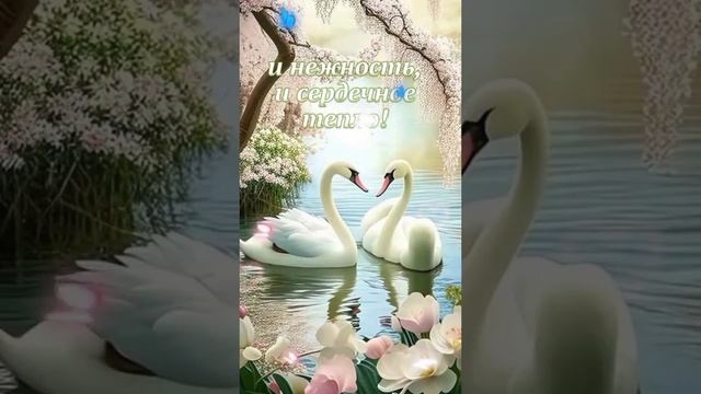 ДОБРОЕ УТРО МОИ ДРУЗЬЯ.. смотреть онлайн