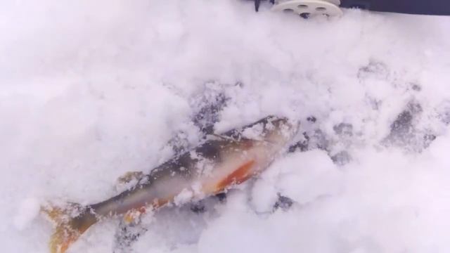 Пока мотоцикл стоит в гараже смотреть онлайн