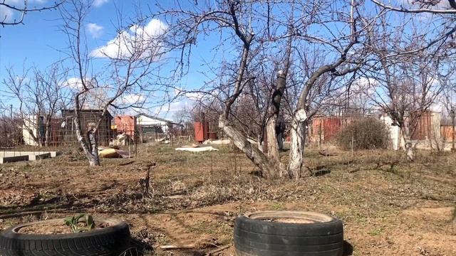 Открываем дачный сезон 2020 | Дачные работы в марте смотреть онлайн