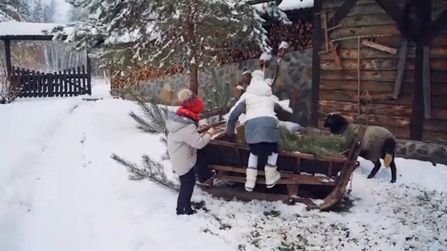 Бодрящая музыка для начала нового дня ! Гармония Музыки и Природы! Лошадей смотреть онлайн