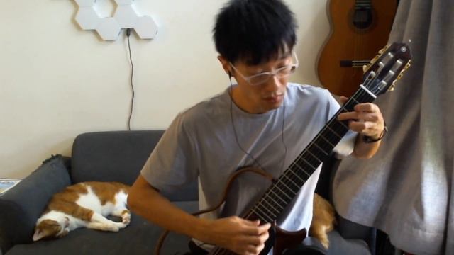 Mice on Venus (Minecraft music) - C418 - Classical Guitar - 20220727 смотреть онлайн