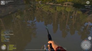 Гайд по Russian Fishing 4 Как подобрать спининг\Что такое строй удилища