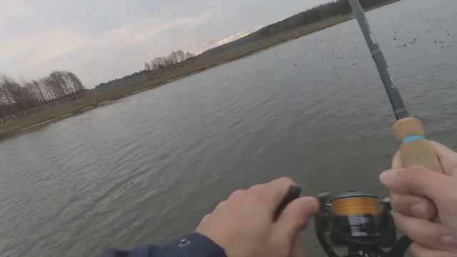 КАК ВЫМАНИТЬ ЩУКУ ИЗ КУВШИНОК??? Ловля на умирающий твичинг смотреть онлайн