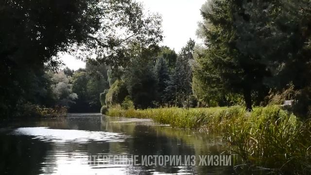ПРЕДАТЬ МУЖИКА СОВЕСТЬ ЕЙ НЕ ПОМЕШАЛА. Жизненные истории и аудио рассказы слушать онлайн смотреть онлайн